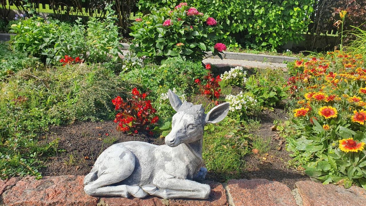 Villa Leonardo เวนต์สปิลส์ ภายนอก รูปภาพ